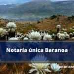 Notaría única Baranoa