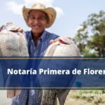 Notaría Primera de Florencia