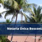 Notaría Única Bosconia