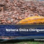 Notaría Única Chiriguana
