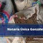 Notaría Única González