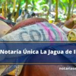 Notaría Única La Jagua de Ibirico