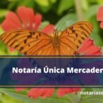 Notaría Única Mercaderes
