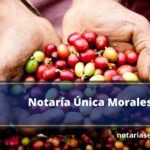 Notaría Única Morales
