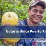Notaría Única Puerto Rico