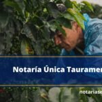 Notaría Única Tauramena