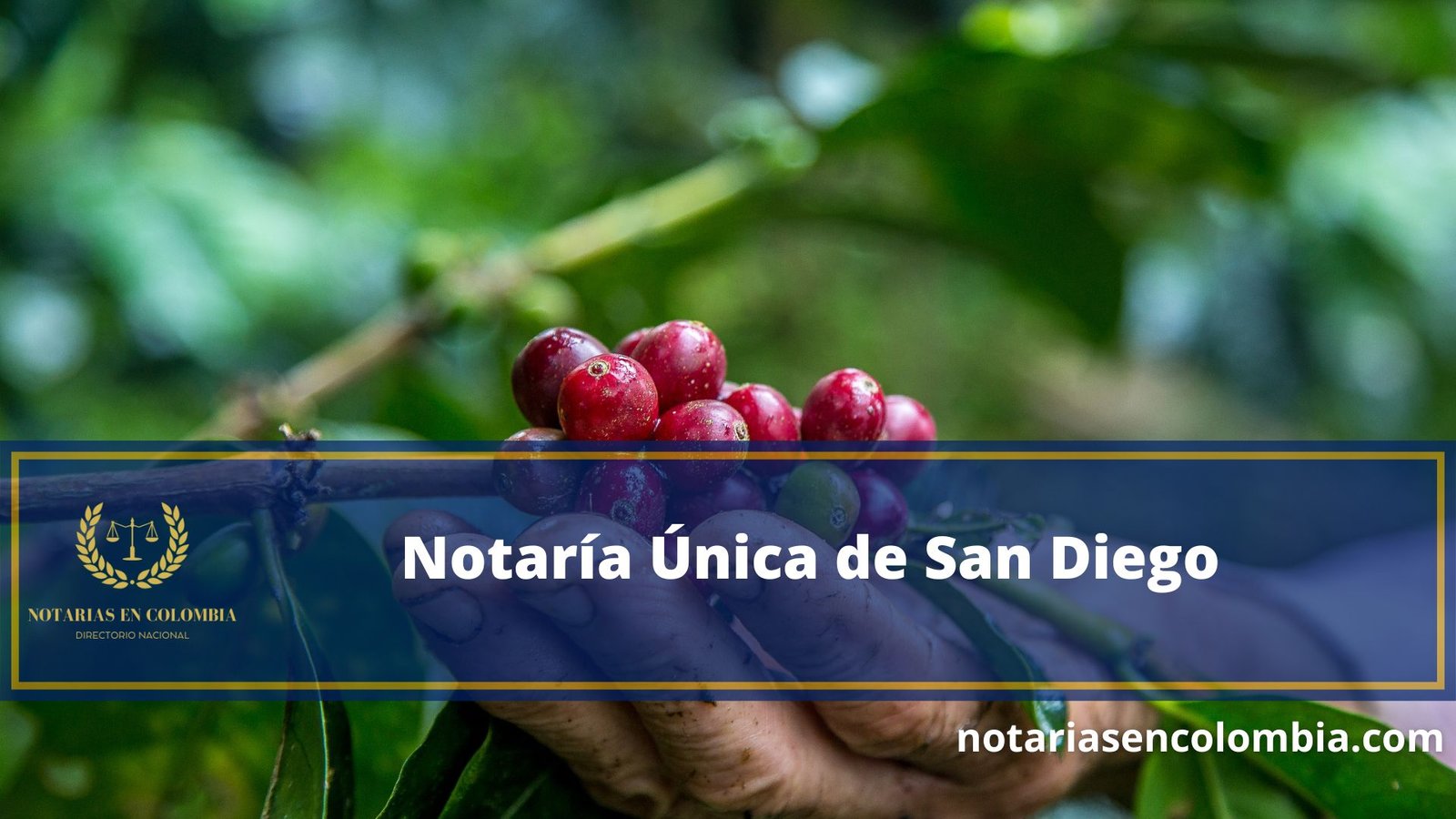 Notar a nica De San Diego Notarias En Colombia