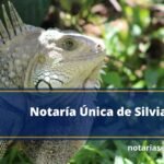 Notaría Única de Silvia