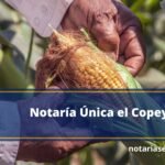 Notaría Única el Copey