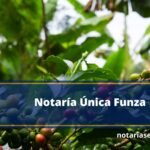 Notaría Única Funza