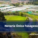 Notaría Primera Fusagasuga