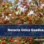 Notaría Única Guaduas