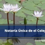 Notaría Única de el Colegio