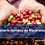 Notaría Novena de Bucaramanga