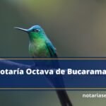 Notaría Octava de Bucaramanga