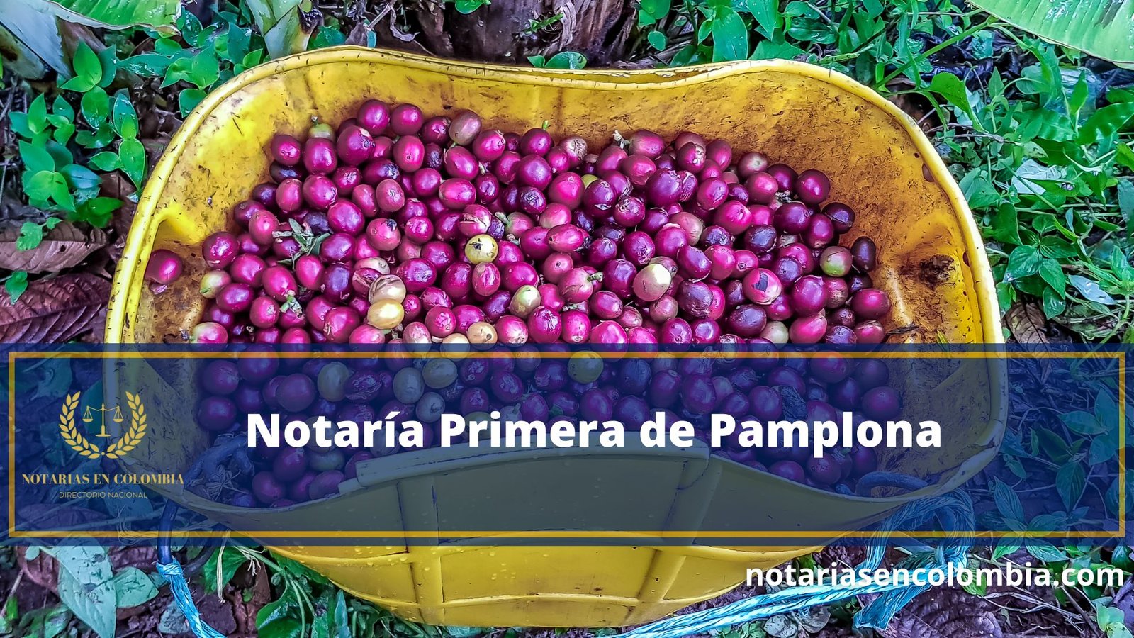 notar-a-primera-de-pamplona-notarias-en-colombia