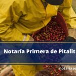 Notaría Primera de Pitalito
