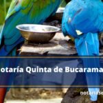 Notaría Quinta de Bucaramanga