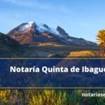 Notaría Quinta de Ibagué