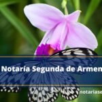 Notaría Segunda de Armenia