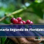 Notaría Segunda de Floridablanca