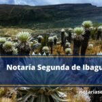 Notaría Segunda de Ibagué