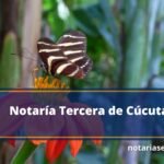 Notaría Tercera de Cúcuta