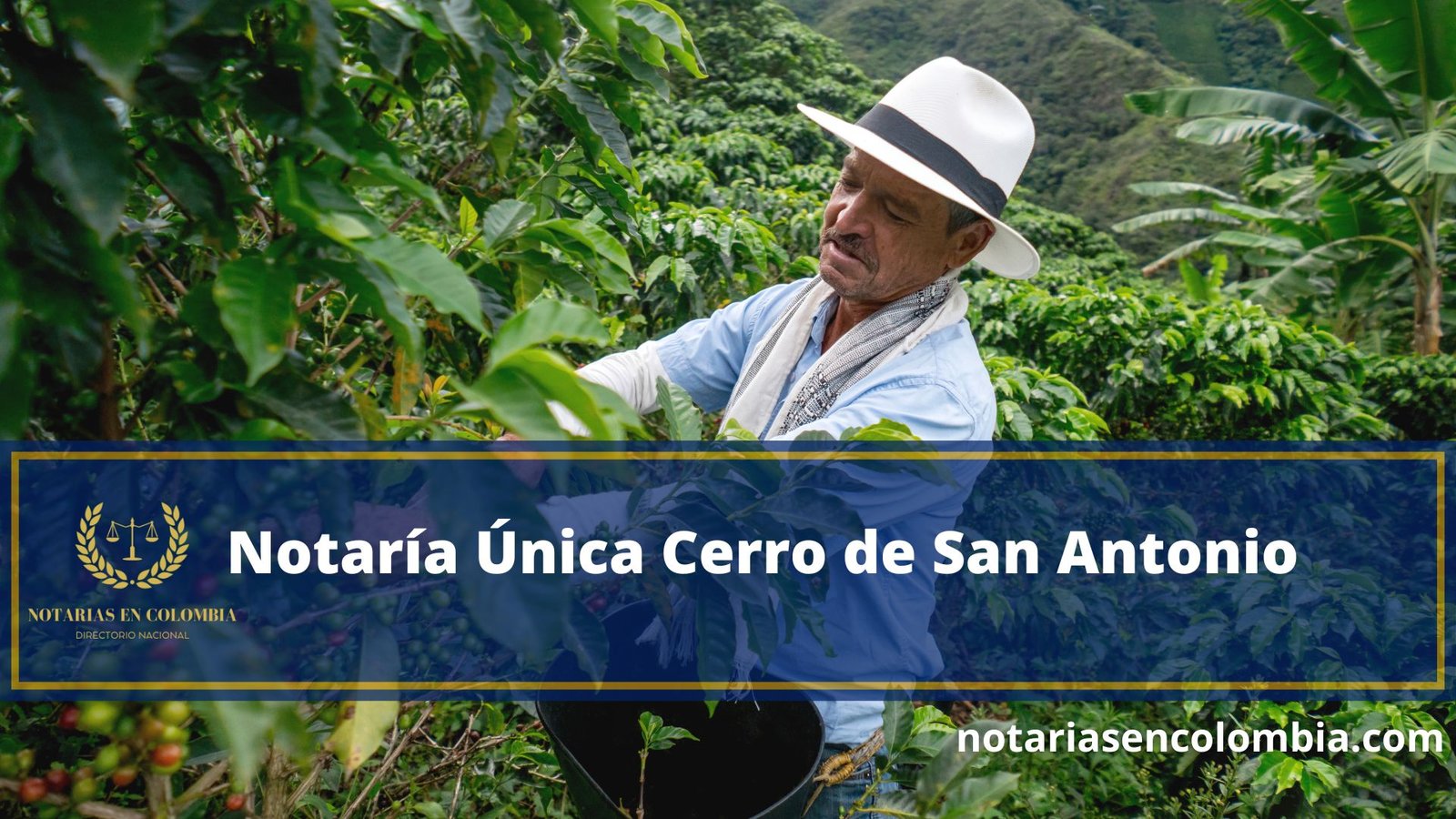 notar-a-nica-cerro-de-san-antonio-notarias-en-colombia