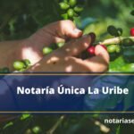 Notaría Única La Uribe