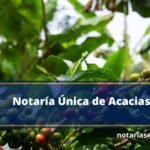 Notaría Única de Acacias