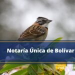 Notaría Única de Bolívar