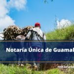 Notaría Única de Guamal