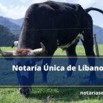 Notaría Única de Líbano