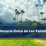 Notaría Única de Los Palmitos