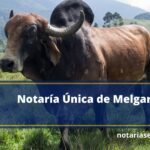 Notaría Única de Melgar