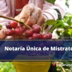 Notaría Única de Mistrato