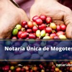 Notaría Única de Mogotes