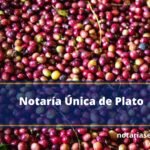 Notaría Única de Plato