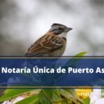 Notaría Única de Puerto Asís