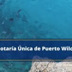 Notaría Única de Puerto Wilches