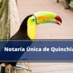 Notaría Única de Quinchia