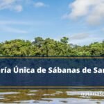 Notaría Única de Sábanas de San Ángel