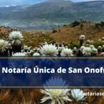 Notaría Única de San Onofre