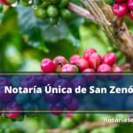 Notaría Única de San Zenón