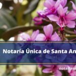 Notaría Única de Santa Ana