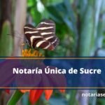 Notaría Única de Sucre