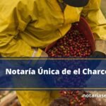 Notaría Única de el Charco