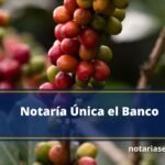 Notaría Única el Banco