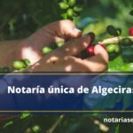 Notaría única de Algeciras