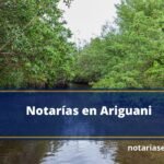 Notarías en Ariguani